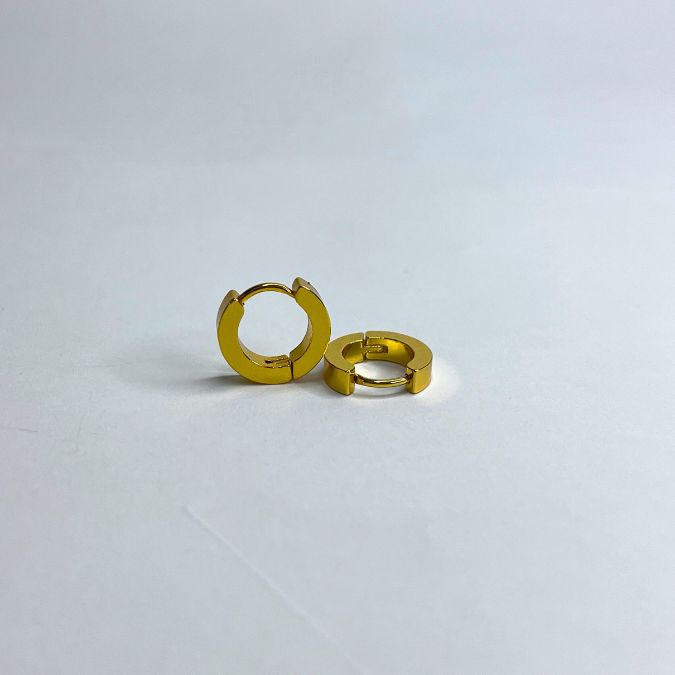 Luxe hoops Earrings